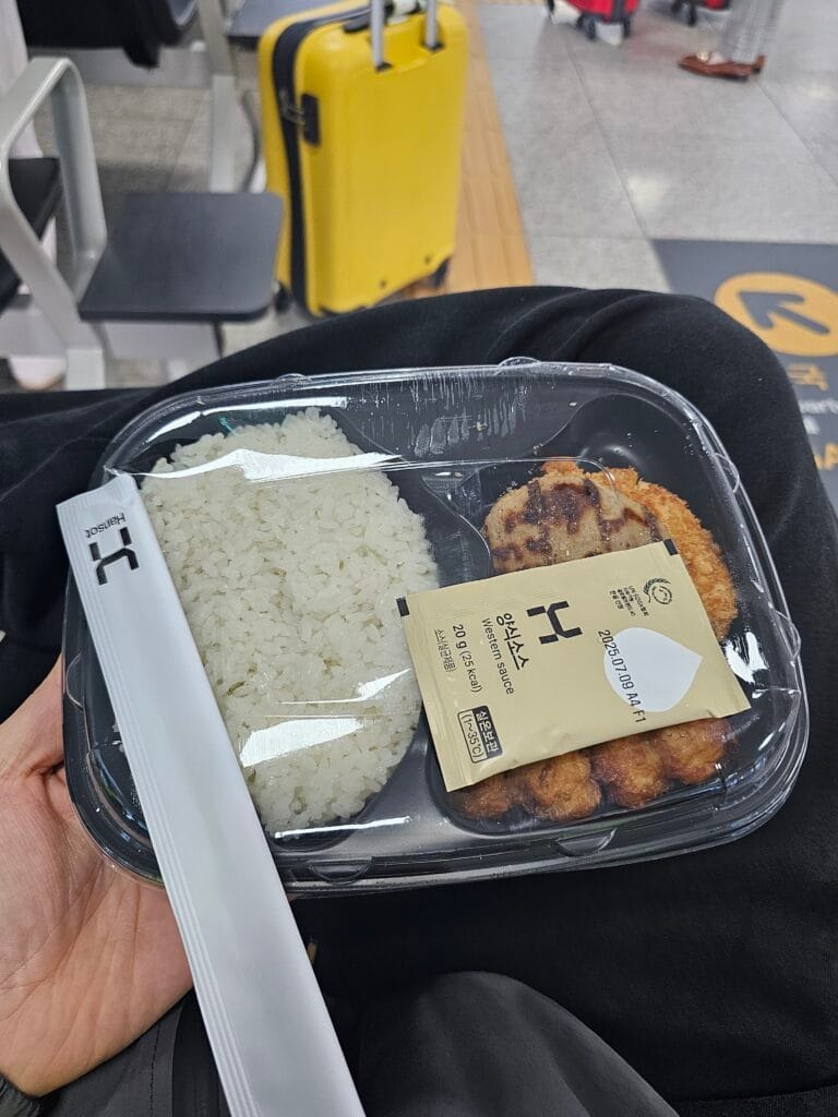 인천항 크루즈터미널 알바 후기 캐리어 이동 점심밥