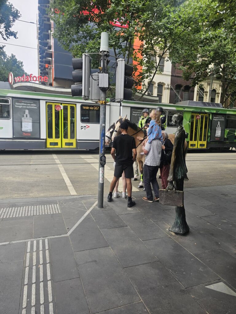 호주 워홀 지역 비교6